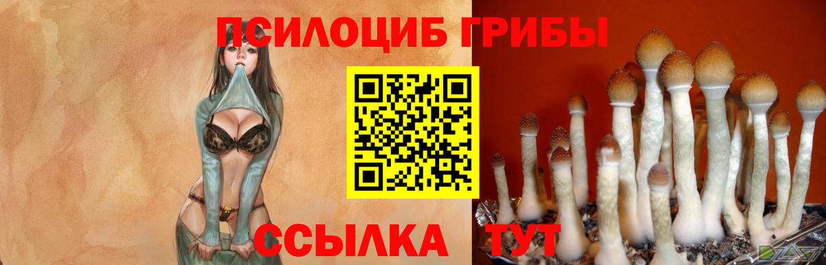Галлюциногенные грибы Psilocybine cubensis  Галлюциногенные грибы Cubensis  Вход с VPN  Вязники 